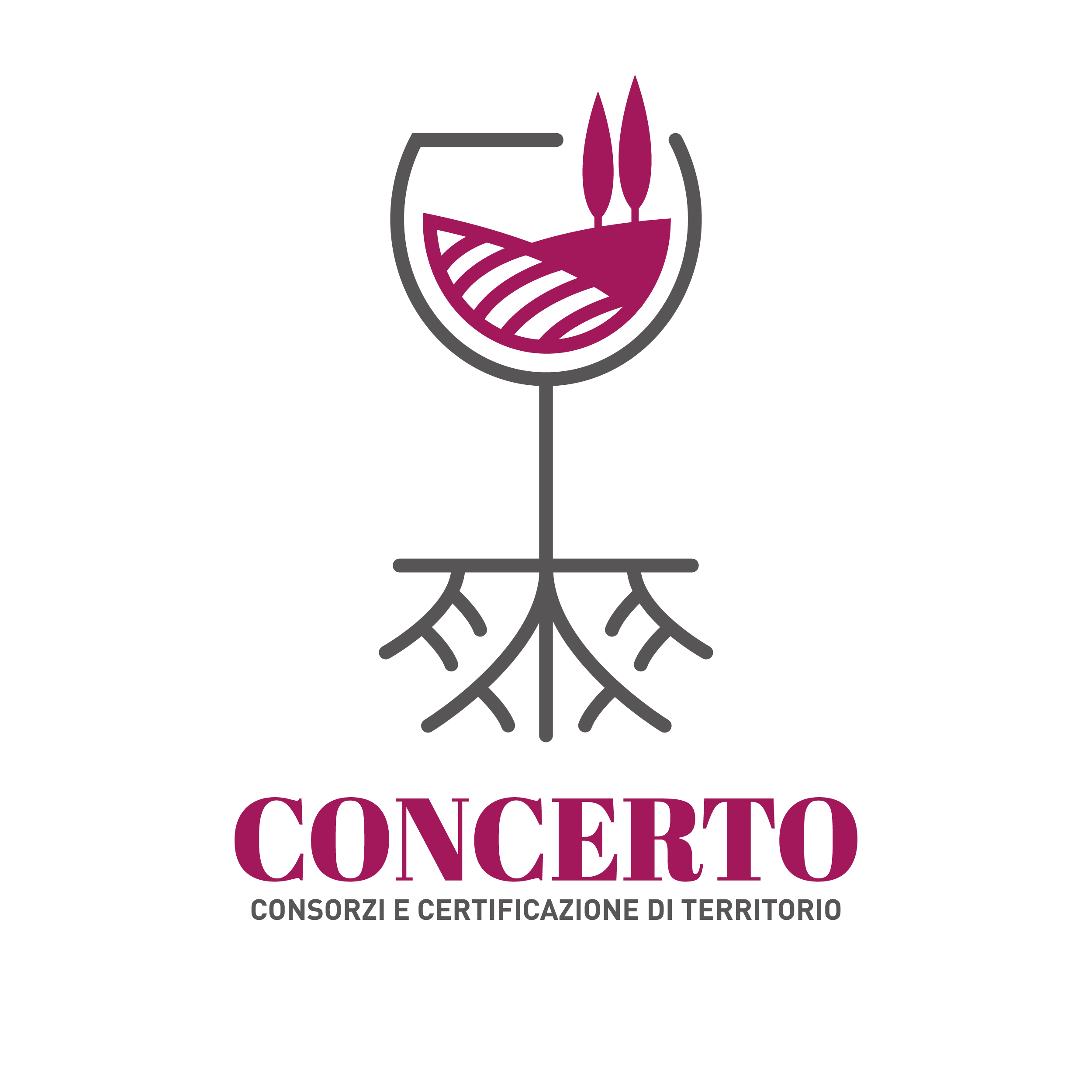 CONCERTO - Consorzi e Certificazione di Territorio